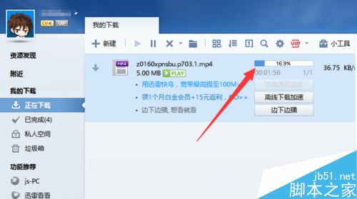 迅雷下载地址怎么用_(迅雷下载地址怎么用不了)